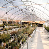 The new nursery can produce 40 000 plants per annum